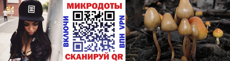 кракен зеркало  Сыктывкар  Псилоцибиновые грибы мухоморы 